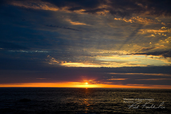 DSC_8107_edited