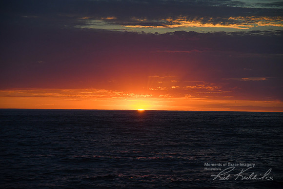 DSC_8141_edited