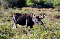 DSC_6608_edited