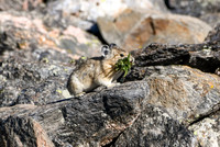 DSC_6711_edited