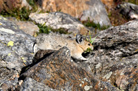 DSC_6685_edited