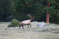 2025-08-31 - RMNP
