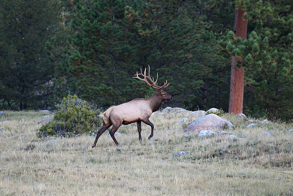 DSC_6505_edited