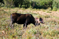 DSC_6624_edited
