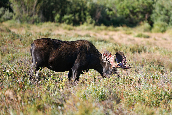 DSC_6624_edited