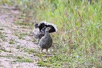 DSC_6551_edited