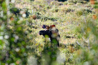 DSC_6575_edited