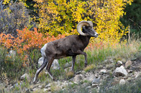 DSC_3780_edited