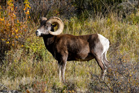 DSC_3954_edited