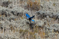 DSC_5755_edited_edited
