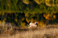 DSC_5673_edited