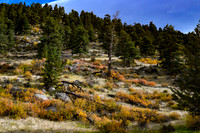 DSC_3972_edited