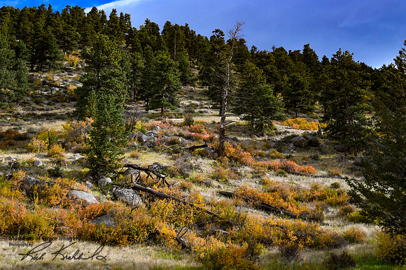 DSC_3972_edited