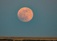 DSC_0436_edited