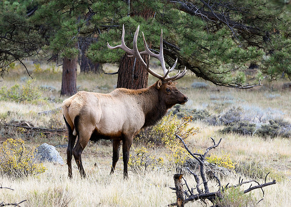 DSC_8572_edited
