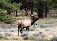 DSC_8608_edited