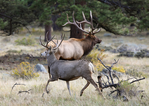 DSC_8565_edited