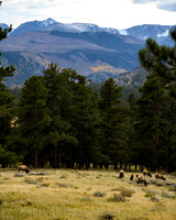 DSC_8623_edited