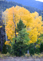 DSC_8661_edited