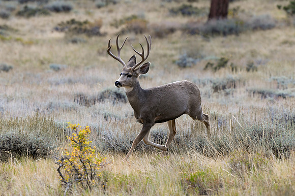 DSC_8552_edited