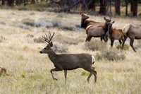 DSC_8557_edited