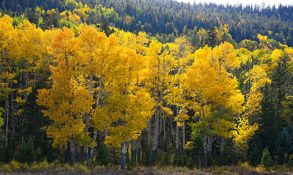 DSC_8430_edited - 5-3