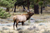 DSC_8595_edited