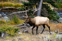 DSC_8926_edited