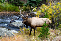DSC_8906_edited