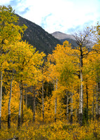 DSC_8952_edited