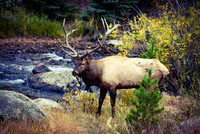 DSC_8906_edited-Autumn