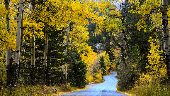 DSC_8964_edited-16x9