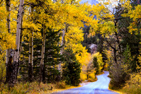 DSC_8965_edited-6x4