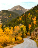 DSC_8967_edited-8x10