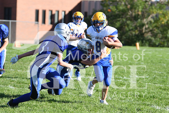 DSC_2789_edited - DCA vs Simla