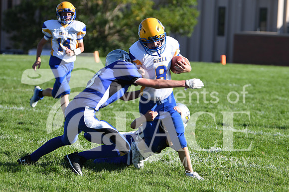 DSC_2790_edited - DCA vs Simla