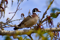 DSC_0910_edited