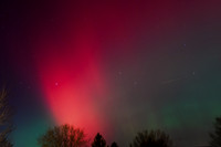 DSC_0981_edited