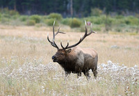 DSC_9822_edited