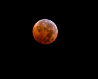 DSC_1653_edited_edited - Total Eclipse ending