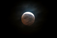 DSC_1695_edited