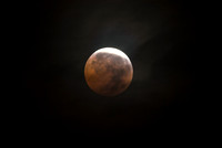 DSC_1688_edited