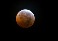 DSC_1680_edited-2 - Total Eclipse ending - Uranus visible lower right