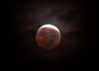 DSC_1698_edited_edited