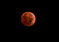 DSC_1608_edited-1_edited - Maximum Eclipse