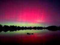 IMG_6863 Aurora - Max