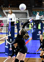 DSC_1922_edited-5x7vert