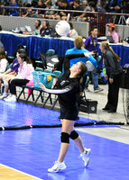 DSC_1940_edited