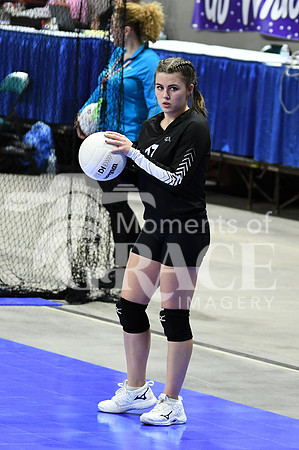 DSC_1955_edited
