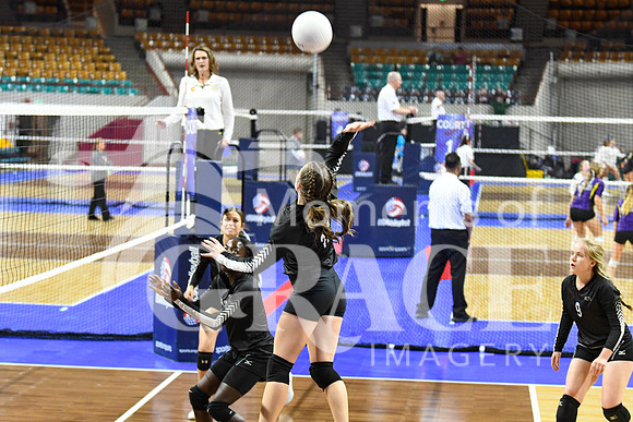 DSC_1963_edited